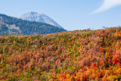 Scenic view of mountain against sky during autumn