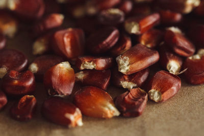 Close-up of dried food on table