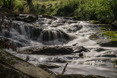 Scenic view of waterfall in forest