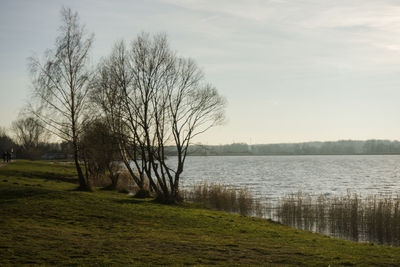 Scenic view of landscape and lake against sky