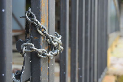 Close-up of chain on metal