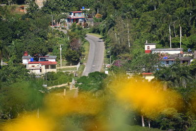 High angle view of trees and plants in city