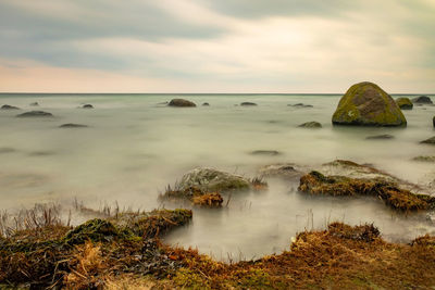 Stony coast of cape arkona promontory. north land peak of ruegen island, germany