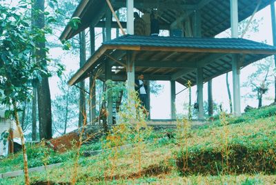 Low angle view of bridge in forest