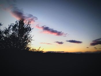 Low angle view of silhouette trees against sky during sunset