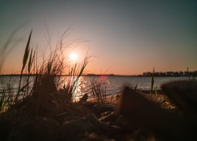 Scenic view of sea against sky during sunset