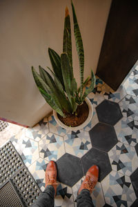 Low section of man standing on tiled floor