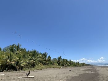 Scenic view of beach against clear blue sky