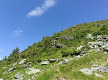 Scenic view of landscape against clear sky