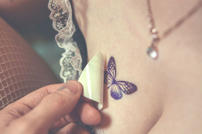 Close-up of hand holding butterfly