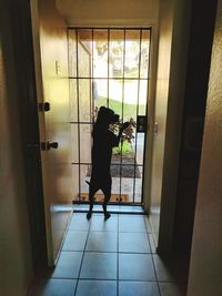 Woman standing by window at home