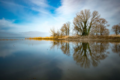 Reflection of trees in lake against sky