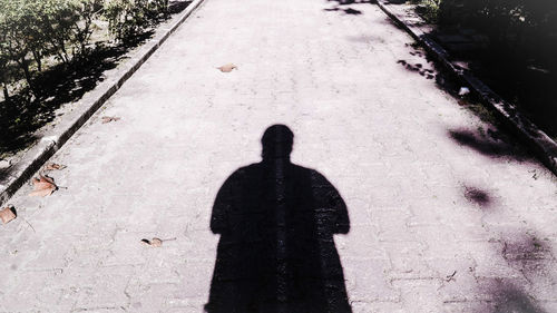 Shadow of people on road