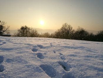 Snow covered trees against sky during sunset