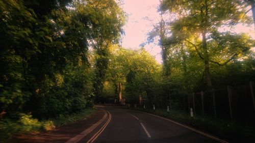 Empty road amidst trees in forest