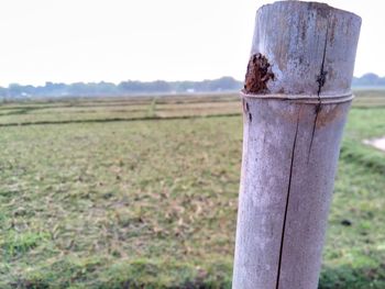 Close-up of wooden post on field