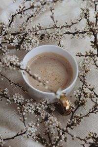 High angle view of coffee on table