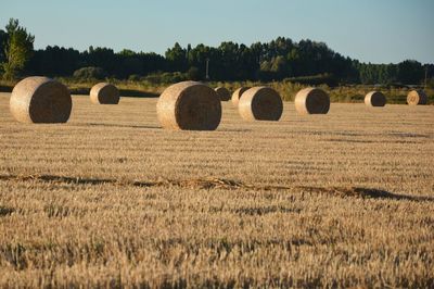 Hay bales on field against sky