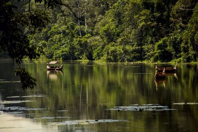 Scenic view of lake