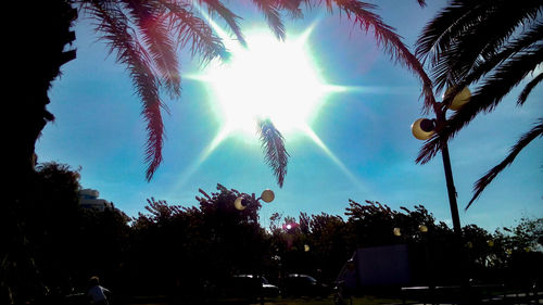 Low angle view of trees against sky