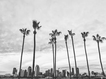 Panoramic view of palm trees and buildings against sky