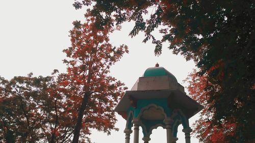 Low angle view of trees and building against sky