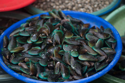 Green mussels displayed and sold at the traditional market, indonesia.