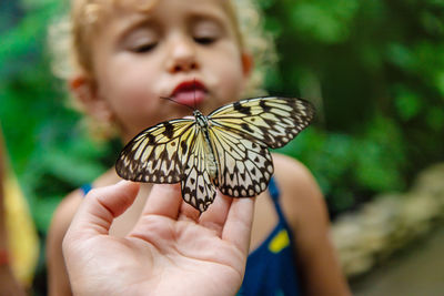 Close-up of girl holding butterfly