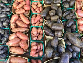 High angle view of vegetables for sale at market stall