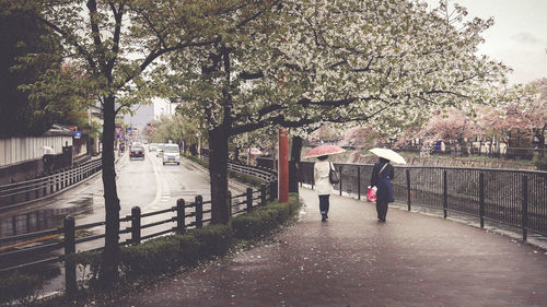 Rear view of women holding umbrellas while walking on footpath