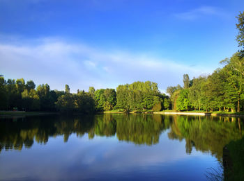 Scenic view of lake in forest against sky