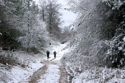 Tourists on mountain