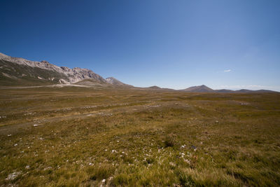 View of grassy field by mountains against clear sky