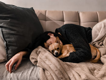 Dog sleeping on sofa at home