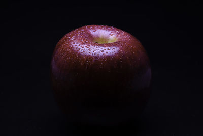 Close-up of wet apple against black background