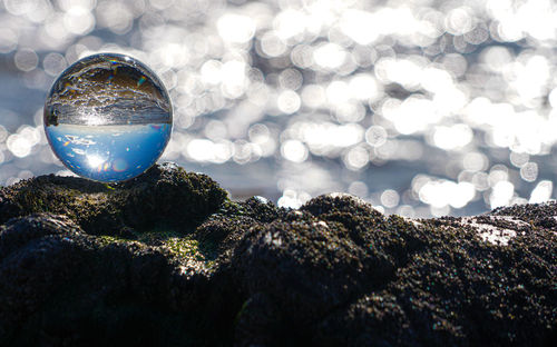 Close-up of crystal ball on rock