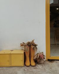 Plants in rubber boots