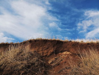 Dry grass on field against sky