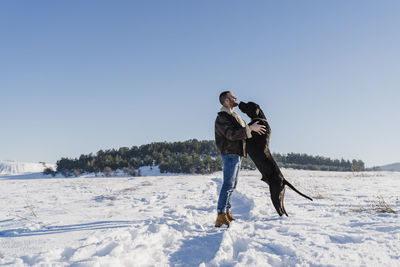 Playful great dane dog leaning on man while standing in snow against clear blue sky
