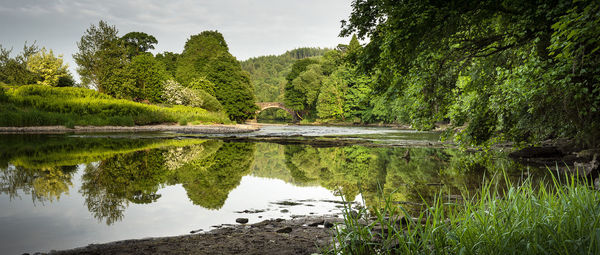 Reflection of trees in lake against sky