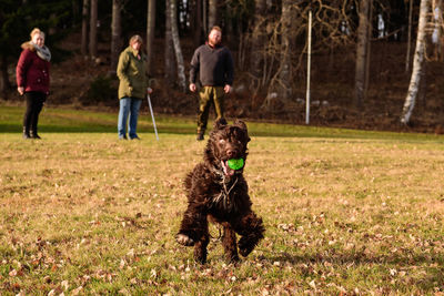 People playing with dog running on land