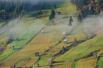 High angle view of agricultural field