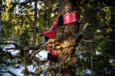 Red umbrella hanging on tree in forest during winter