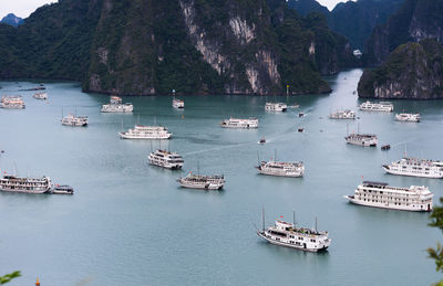 High angle view of sailboats sailing in sea