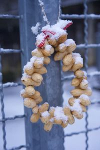 Close-up of snow on garland