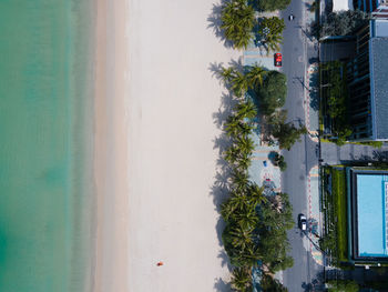 High angle view of palm trees by sea