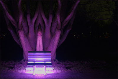 Illuminated lights in park at night