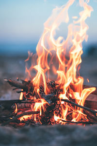 Close-up of fire on the beach 