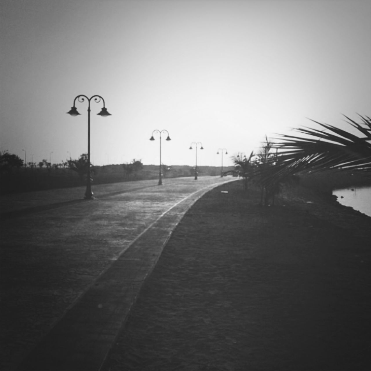 the way forward, street light, tree, clear sky, diminishing perspective, road, sky, empty, vanishing point, street, silhouette, tranquility, transportation, lighting equipment, copy space, nature, tranquil scene, outdoors, no people, sunlight