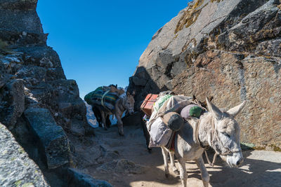 Low angle view of people on mountain against clear sky